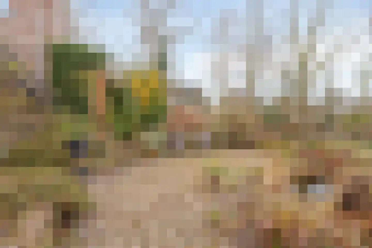 Heerbaan 179 a Millingen aan de Rijn thumbnail 47