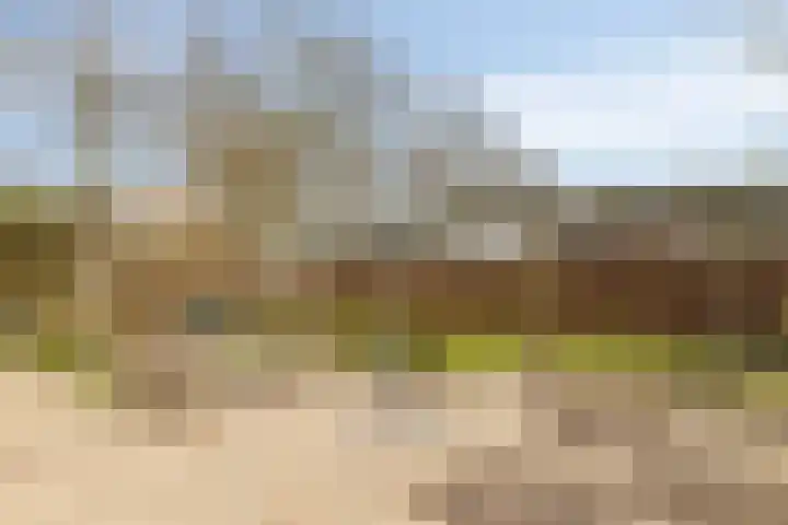 Heerbaan 189 Millingen aan de Rijn thumbnail 50