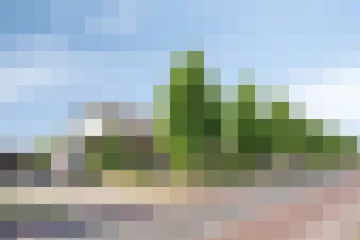 Heerbaan 193 Millingen aan de Rijn thumbnail 32