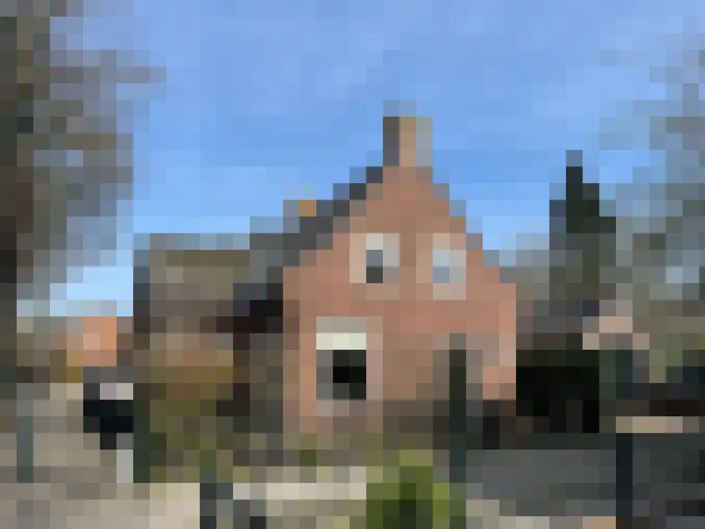 Heerbaan 206 in Millingen aan de Rijn