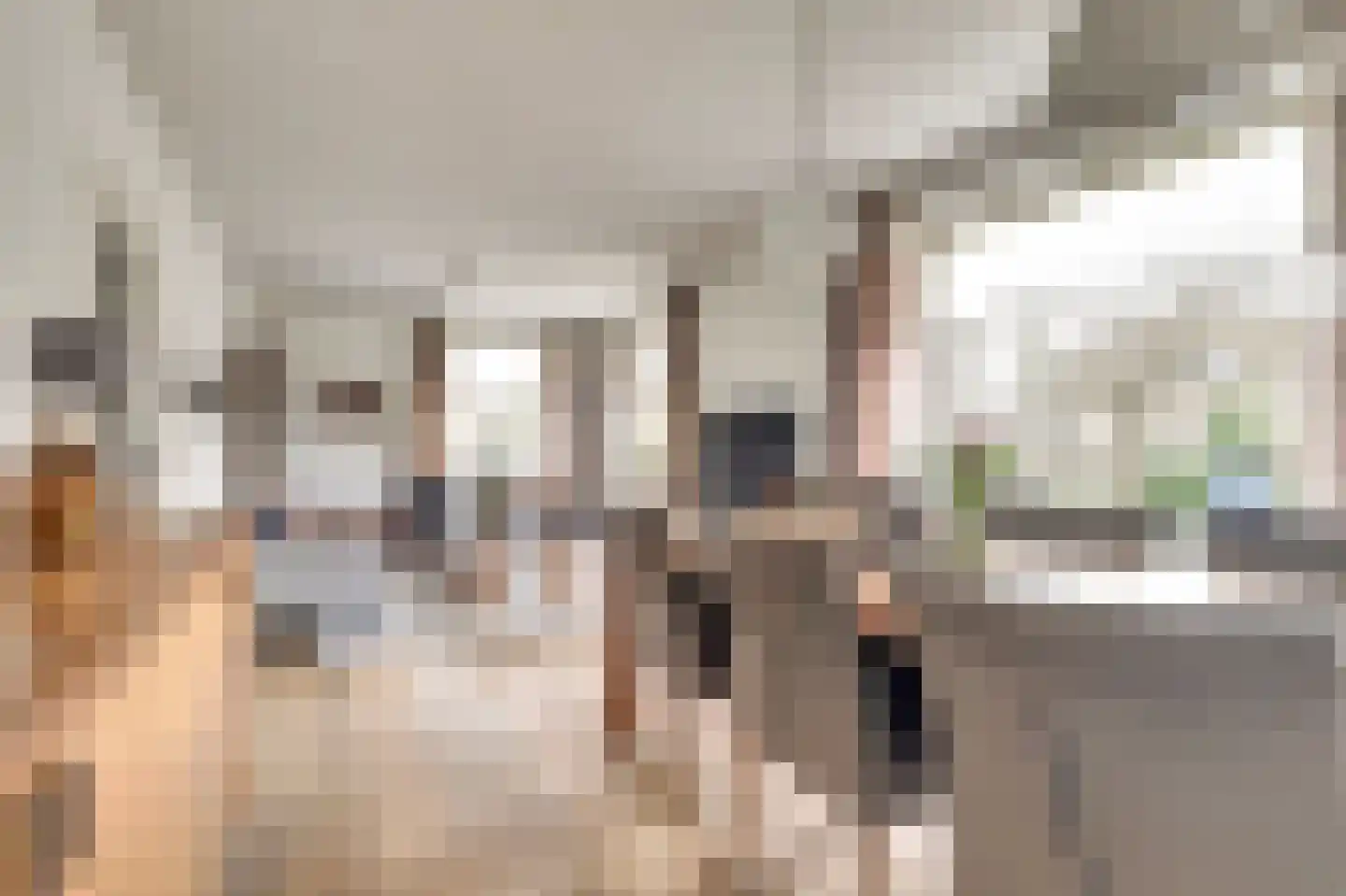 Heerbaan 206 Millingen aan de Rijn thumbnail 10