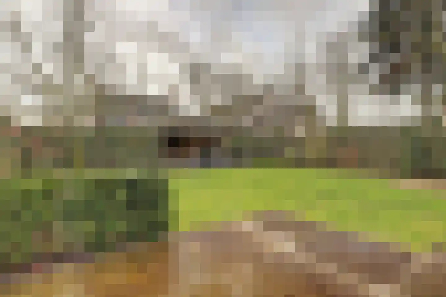 Heerbaan 206 Millingen aan de Rijn thumbnail 25