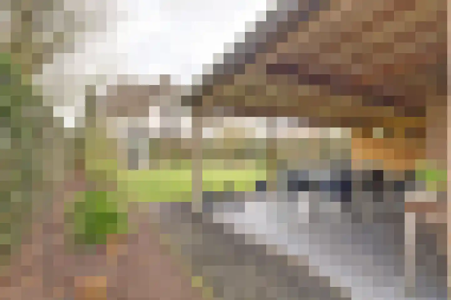 Heerbaan 206 Millingen aan de Rijn thumbnail 26