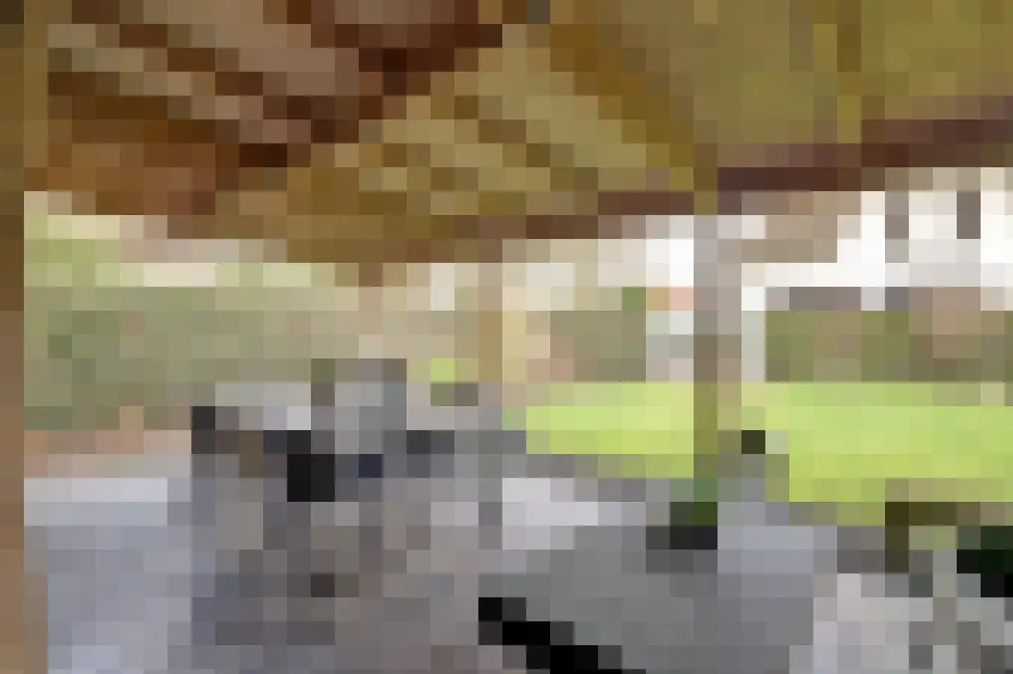 Heerbaan 206 Millingen aan de Rijn thumbnail 28