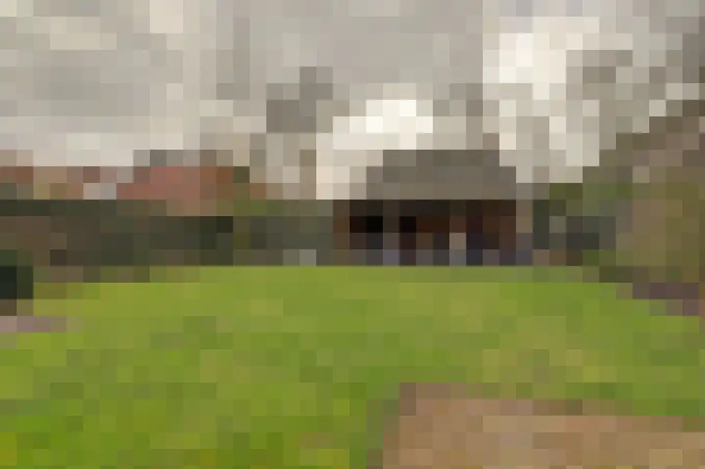 Heerbaan 206 Millingen aan de Rijn foto 3