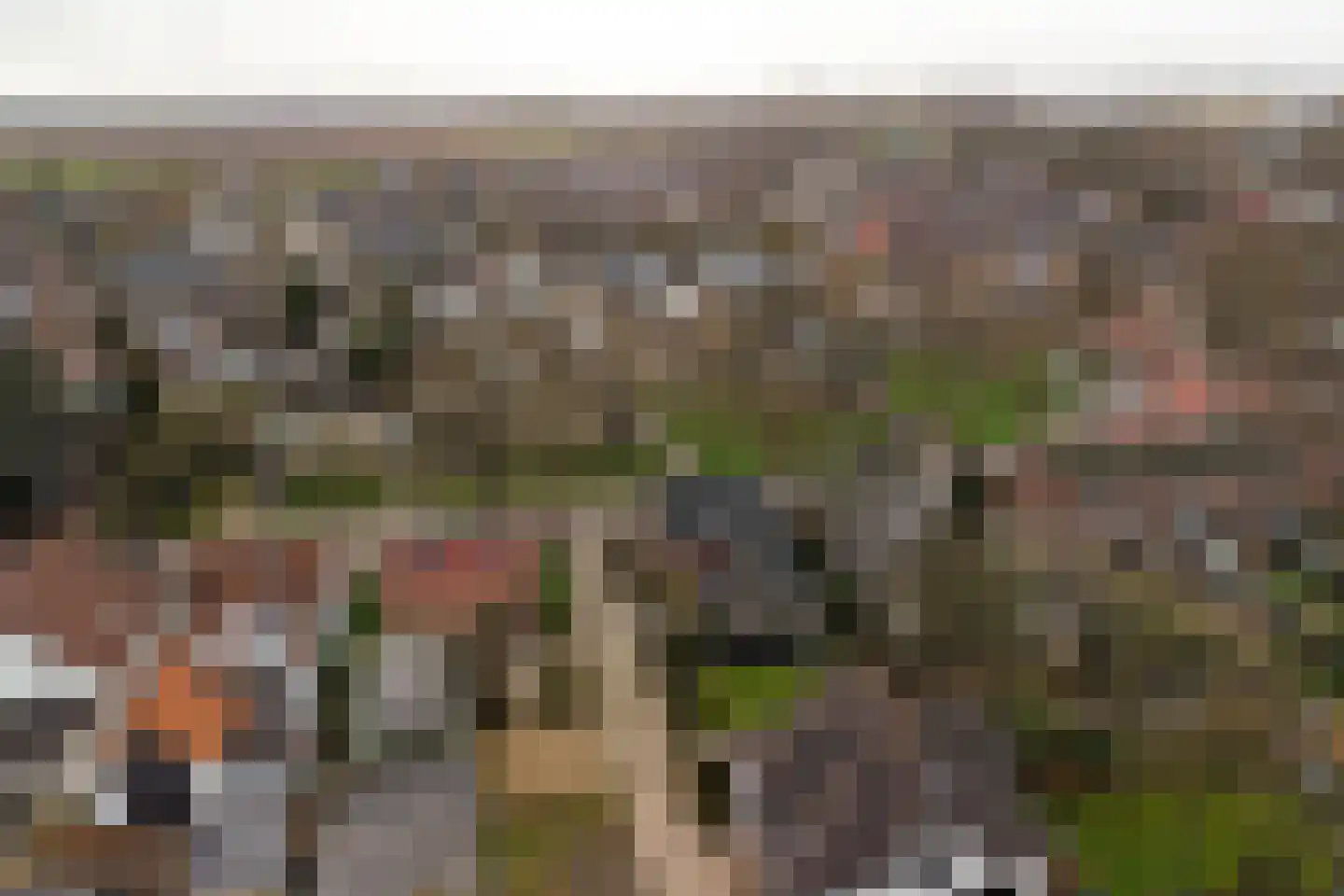 Heerbaan 206 Millingen aan de Rijn thumbnail 30