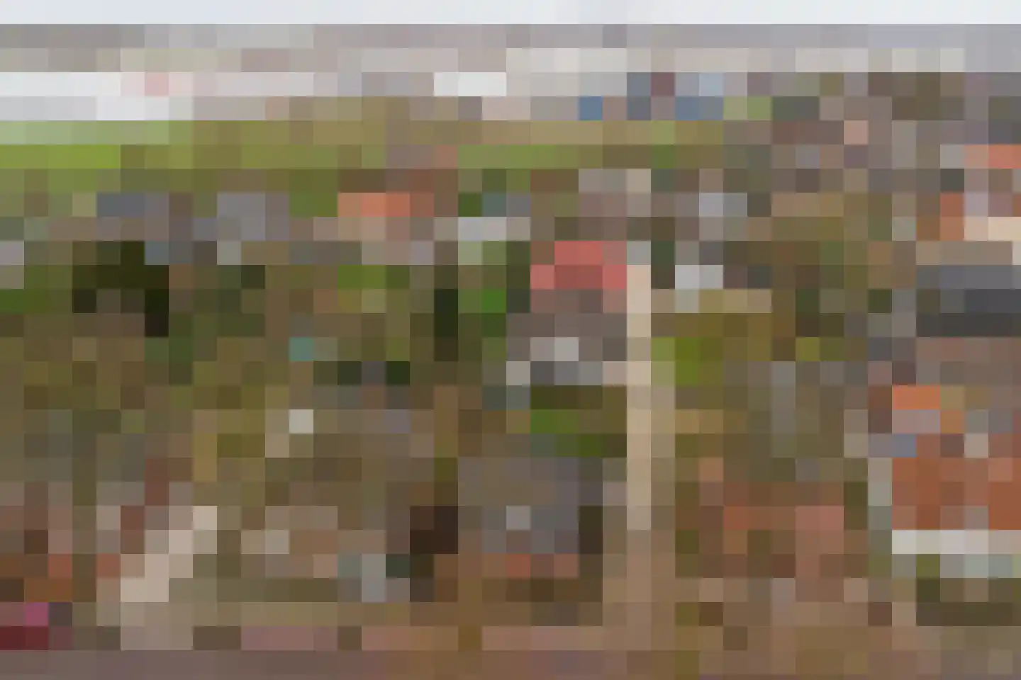 Heerbaan 206 Millingen aan de Rijn thumbnail 31