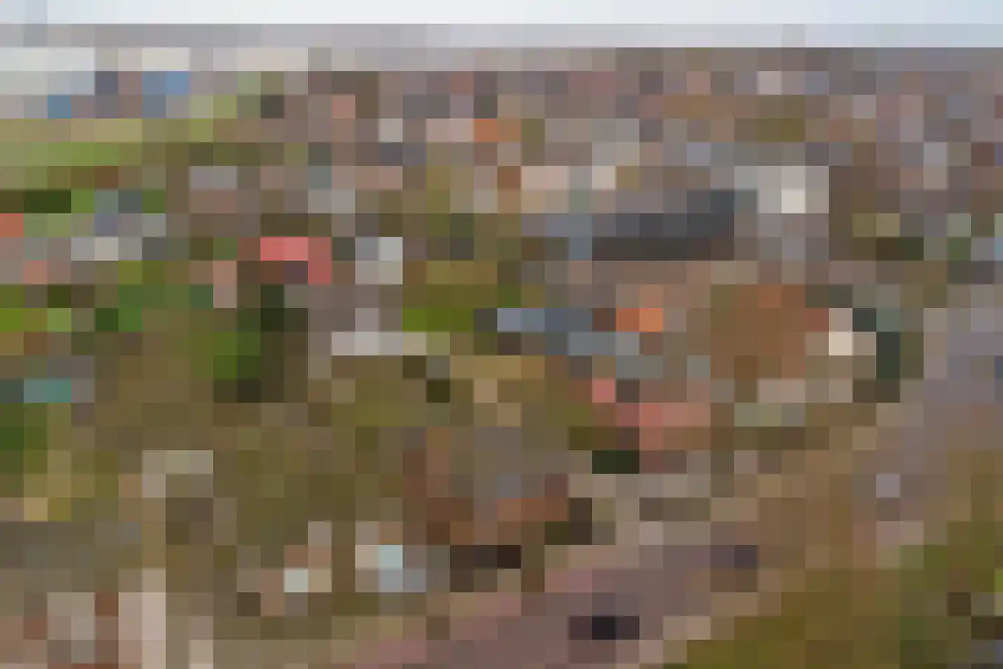 Heerbaan 206 Millingen aan de Rijn thumbnail 32