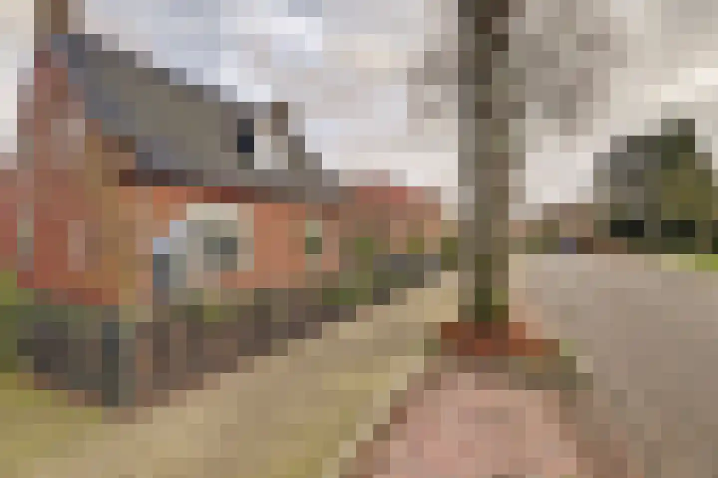Heerbaan 206 Millingen aan de Rijn thumbnail 5