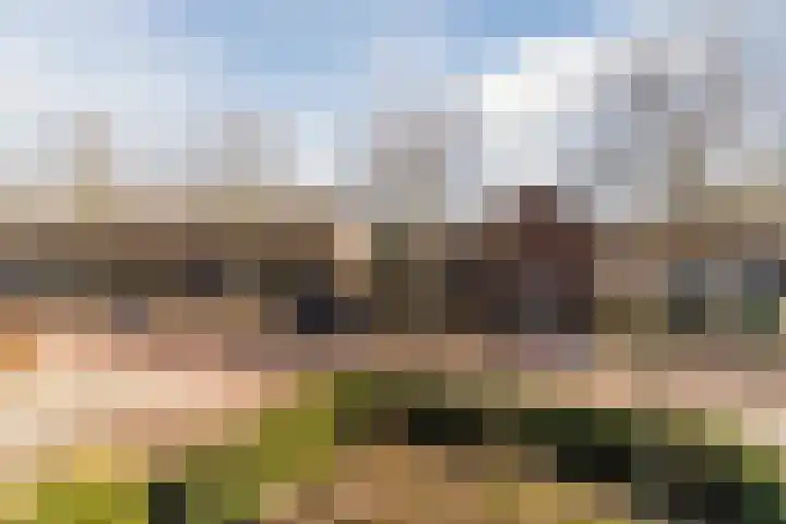 Heerbaan 22 Asten thumbnail 38