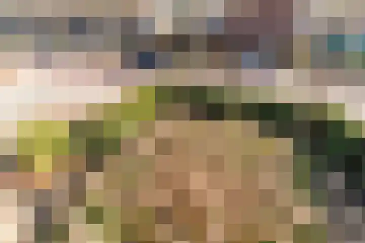 Heerbaan 22 Asten thumbnail 39