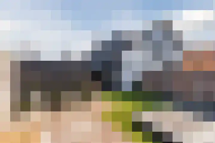 Heerbaan 22 Asten thumbnail 5