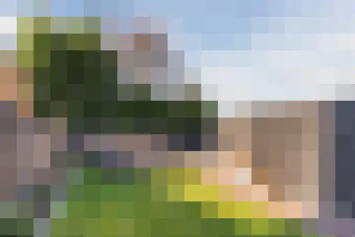 Heerbaan 22 Asten thumbnail 59