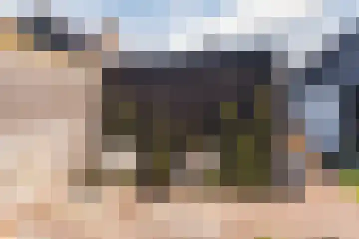 Heerbaan 22 Asten thumbnail 64