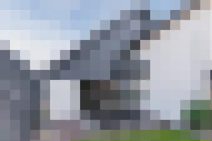 Heerbaan 22 Asten thumbnail 66