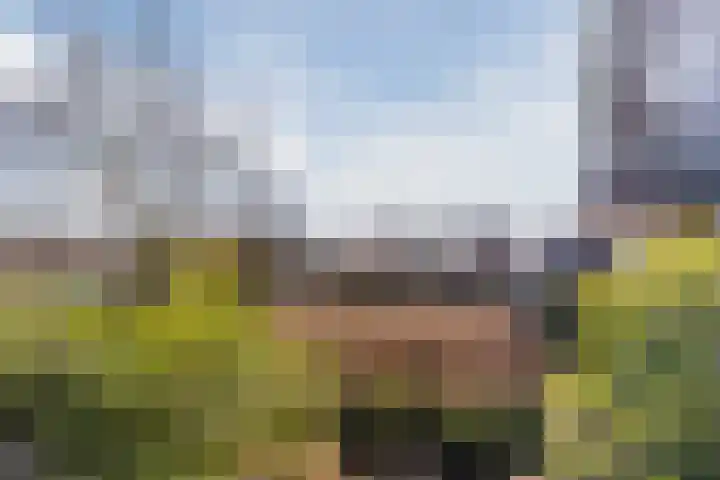 Heerbaan 22 Asten thumbnail 70