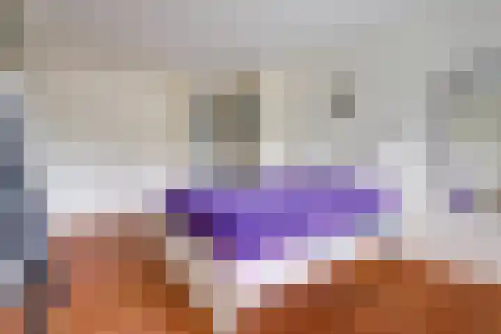 Heerbaan 3 Millingen aan de Rijn thumbnail 17