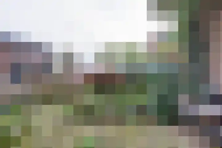 Heerbaan 3 Millingen aan de Rijn thumbnail 22
