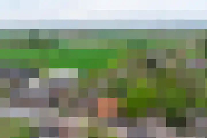 Heerbaan 3 Millingen aan de Rijn thumbnail 31