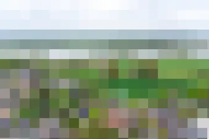 Heerbaan 3 Millingen aan de Rijn thumbnail 32