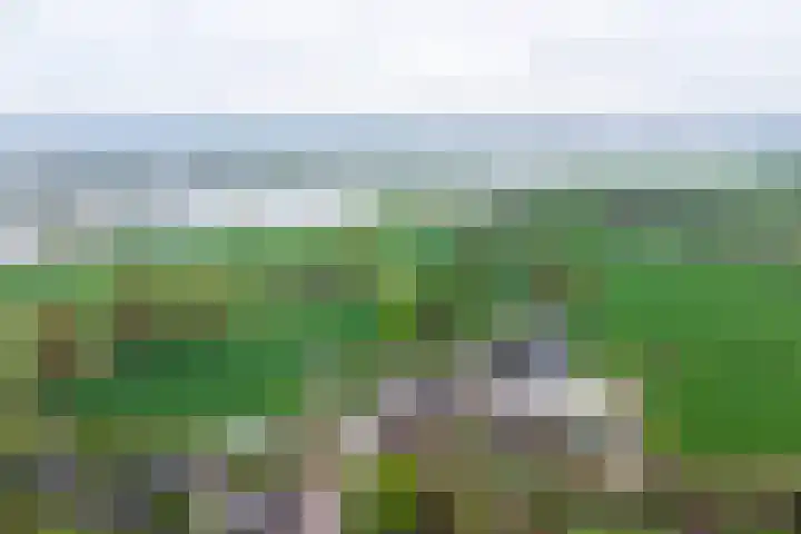 Heerbaan 3 Millingen aan de Rijn thumbnail 33