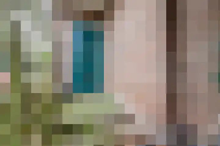 Heerbaan 3 Millingen aan de Rijn thumbnail 5