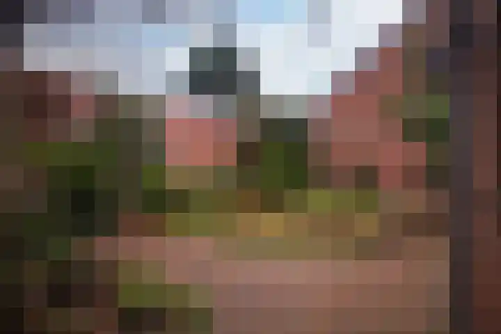 Heerbaan 36 Heel thumbnail 31