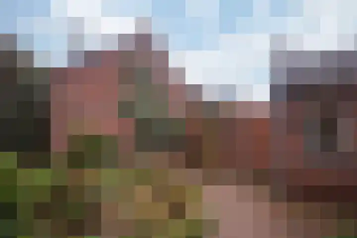 Heerbaan 36 Heel thumbnail 32