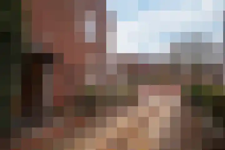 Heerbaan 36 Heel thumbnail 33