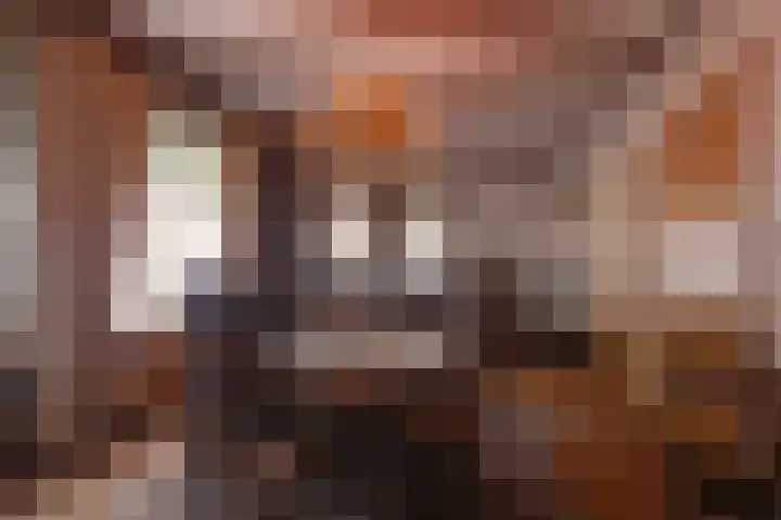 Heerbaan 36 Heel thumbnail 6
