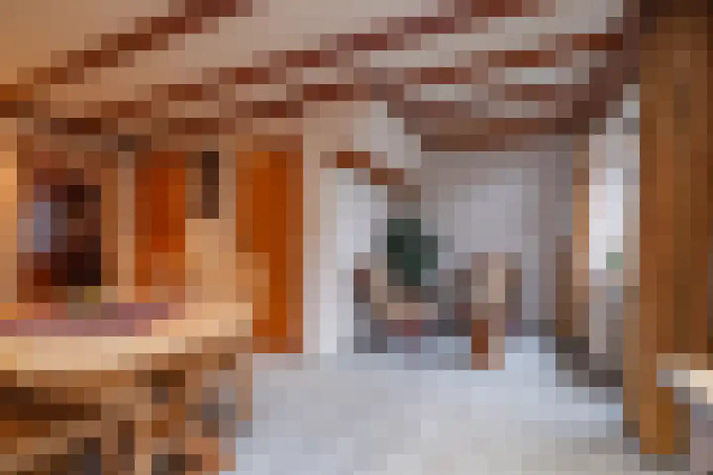 Heerbaan 36 Heel thumbnail 9