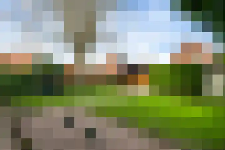 Heerbaan 42 Heel thumbnail 19