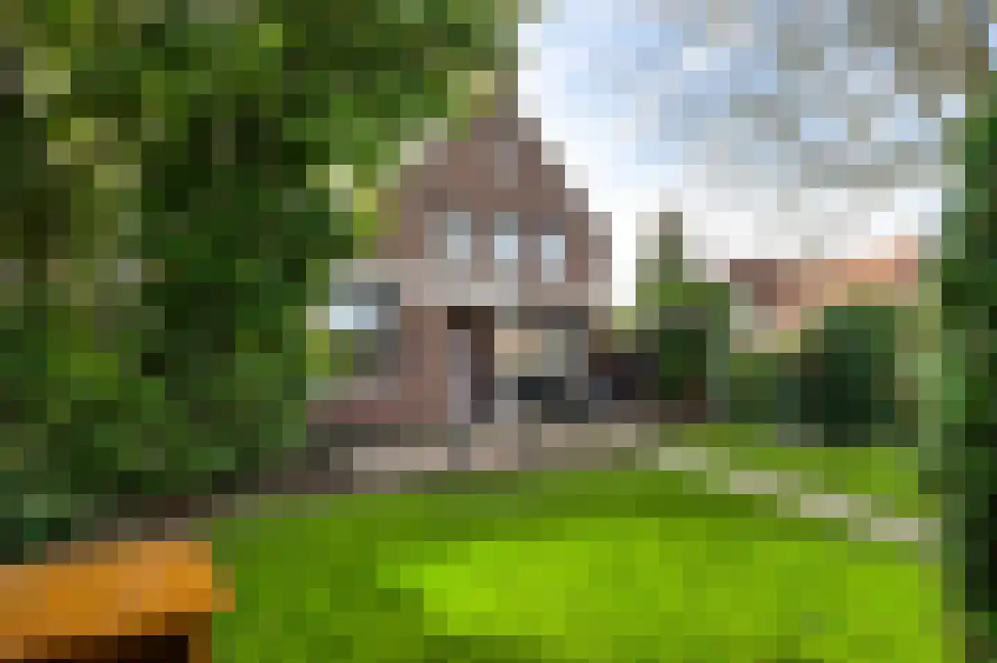 Heerbaan 42 Heel thumbnail 23