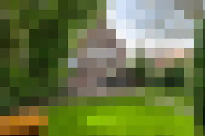 Heerbaan 42 Heel thumbnail 23