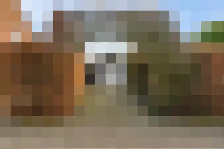 Heerbaan 42 Heel thumbnail 4