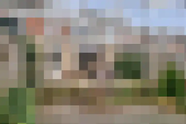 Heerbaan 43 Asten thumbnail 33
