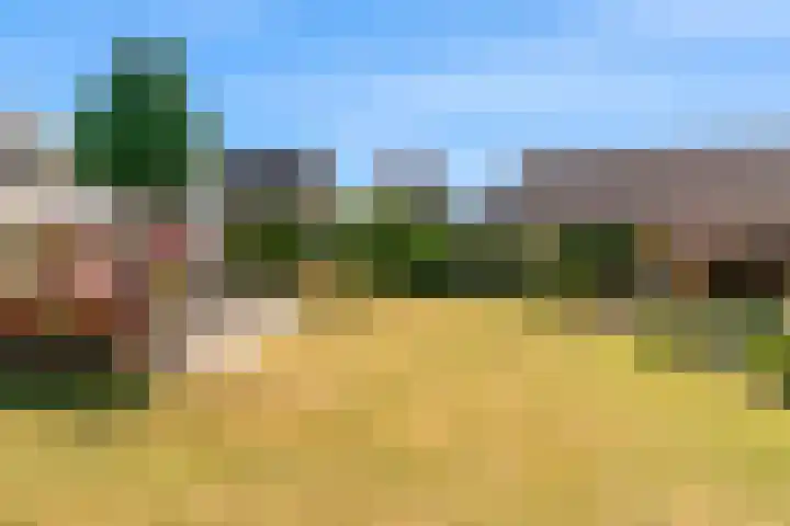 Heerbaan 57 Posterholt thumbnail 7