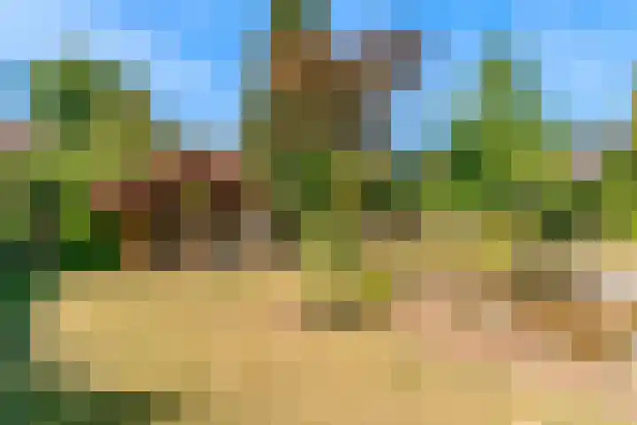 Heerbaan 57 Posterholt thumbnail 9