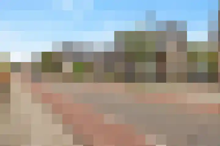 Heerbaan 59 Millingen aan de Rijn thumbnail 4