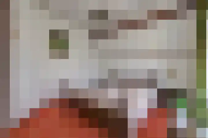Heerbaan 63 Millingen aan de Rijn thumbnail 30