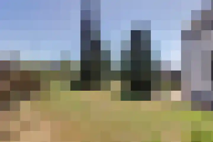 Heerbaan 63 Millingen aan de Rijn thumbnail 36