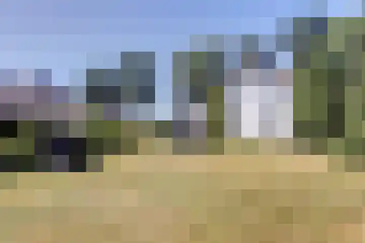 Heerbaan 63 Millingen aan de Rijn thumbnail 38
