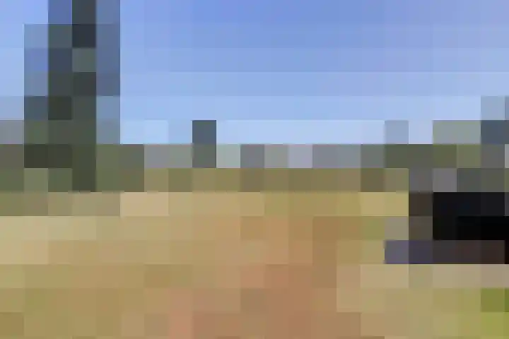 Heerbaan 63 Millingen aan de Rijn thumbnail 39