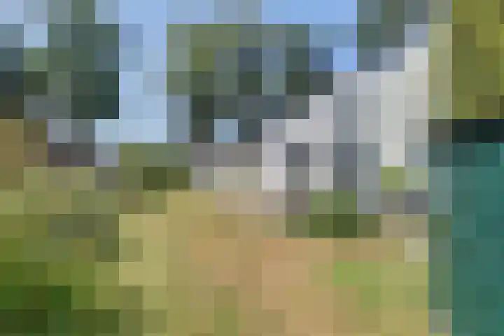 Heerbaan 63 Millingen aan de Rijn thumbnail 40