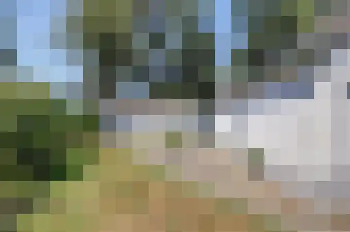 Heerbaan 63 Millingen aan de Rijn thumbnail 41