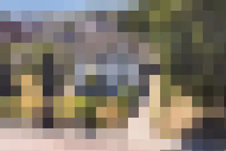 Heerbaan 63 Millingen aan de Rijn thumbnail 42