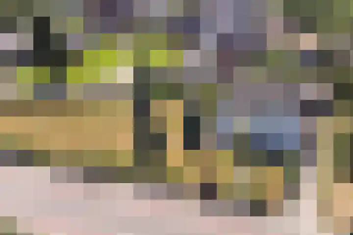 Heerbaan 63 Millingen aan de Rijn thumbnail 43