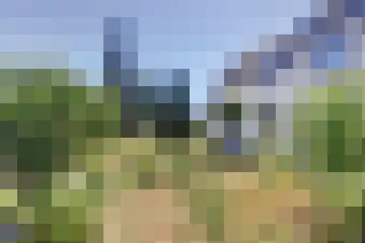 Heerbaan 63 Millingen aan de Rijn thumbnail 6