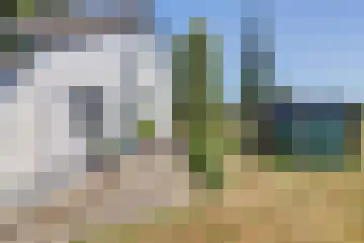 Heerbaan 63 Millingen aan de Rijn thumbnail 8