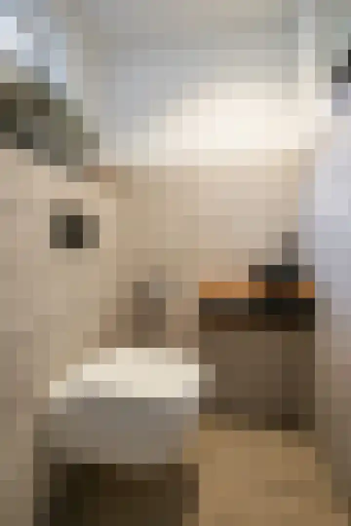 Heerbaan 64 Posterholt thumbnail 15